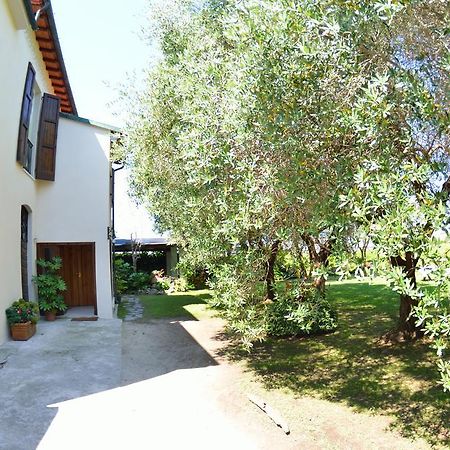 Casa Romana Viareggio Luaran gambar