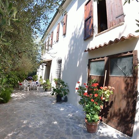 Casa Romana Viareggio Luaran gambar