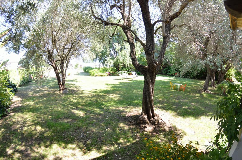 Casa Romana Viareggio Luaran gambar
