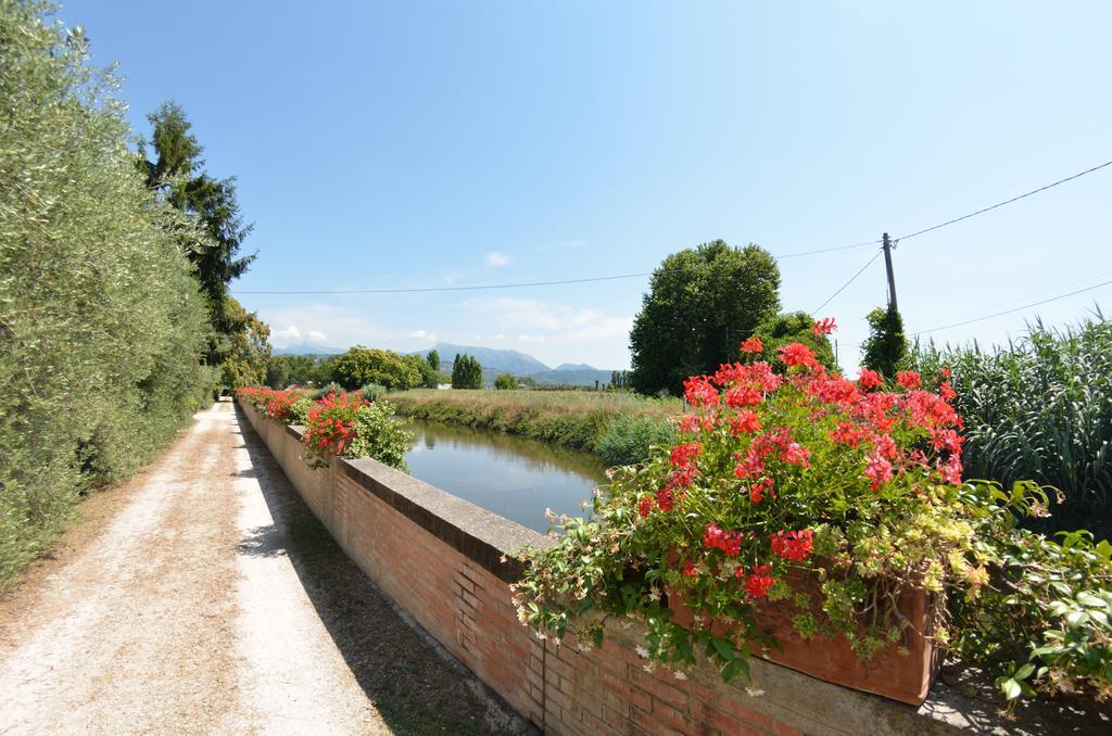Casa Romana Viareggio Luaran gambar