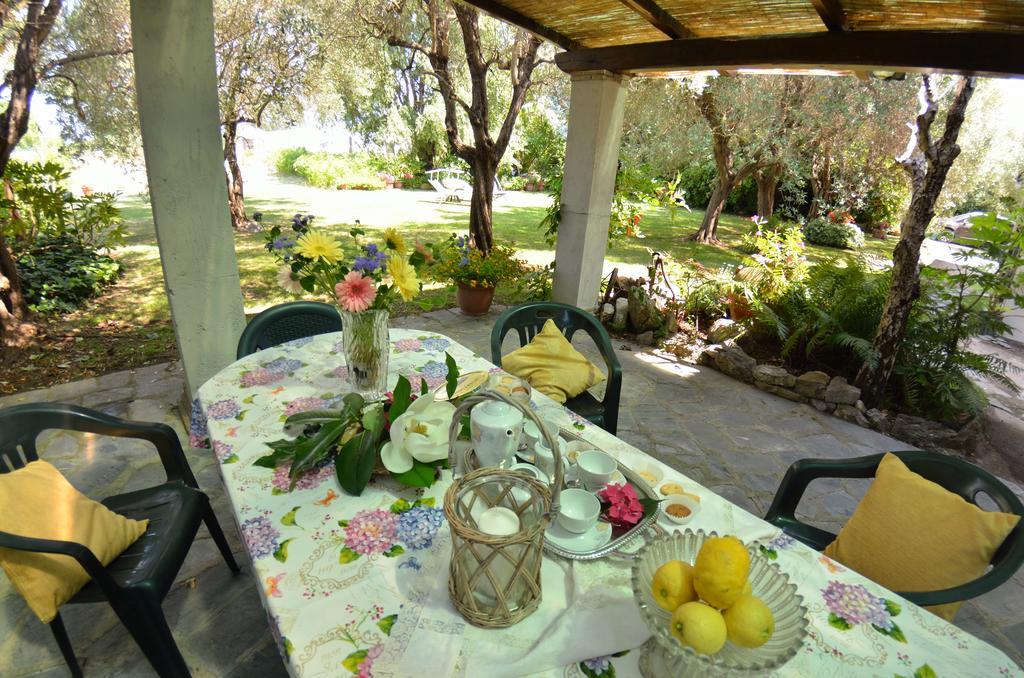 Casa Romana Viareggio Luaran gambar