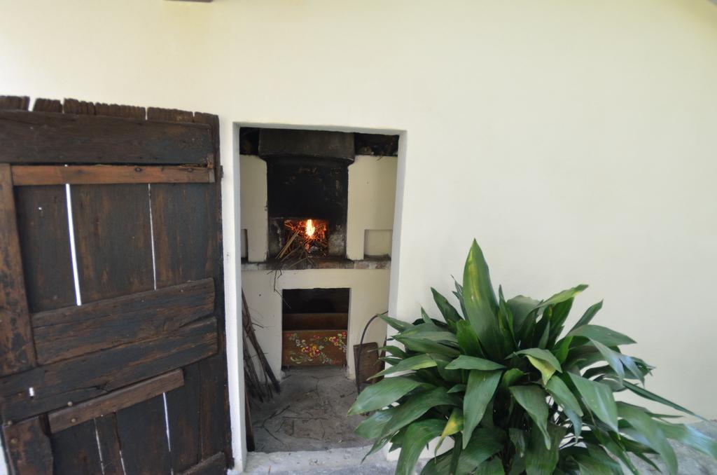 Casa Romana Viareggio Luaran gambar
